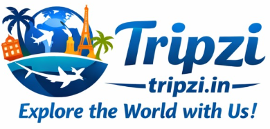 tripzi.in